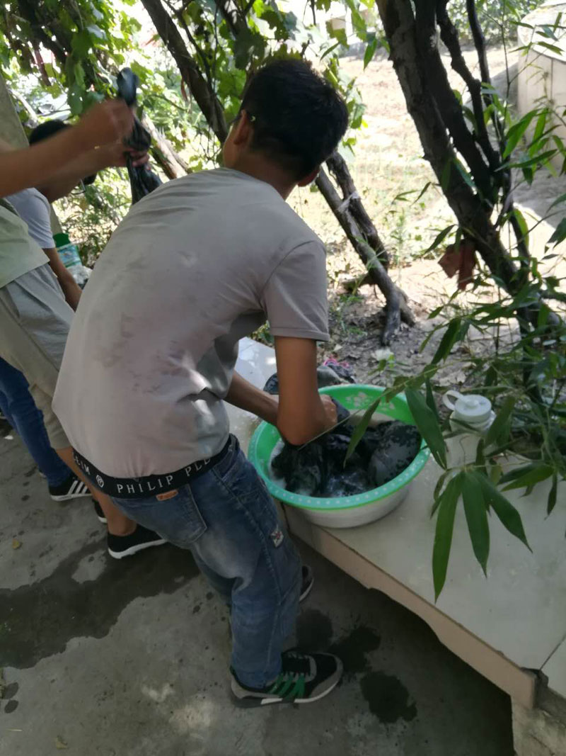开云kaiyun官方网站老师教学生洗衣服